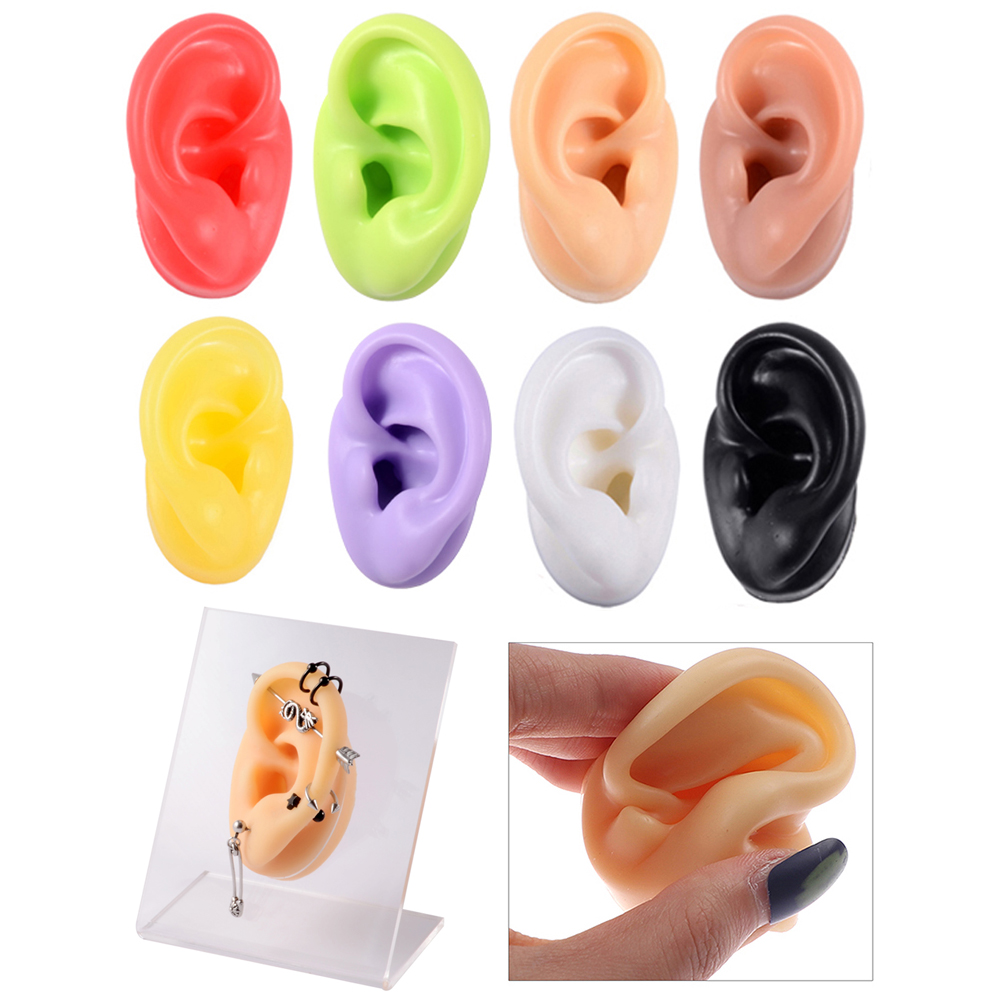 1Pc Soft Silicone Ear Model Ta - Model Kit Display Case ulasan dan harga